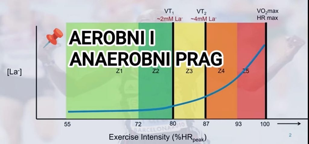 Zone rada, puls, rpe, aerobni kapacitet, anaerobni kapacitet, V02 max, izdržljivost